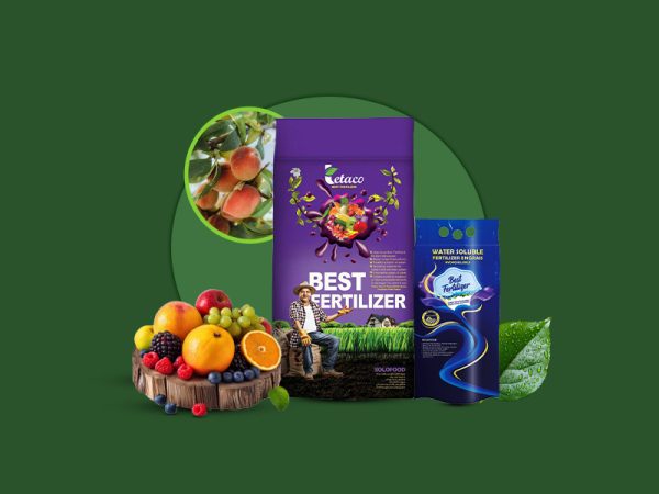 کود NPK (10 10 25)