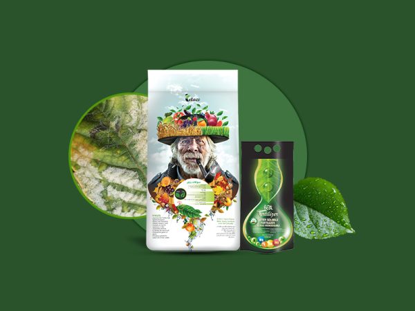 سولفات روی