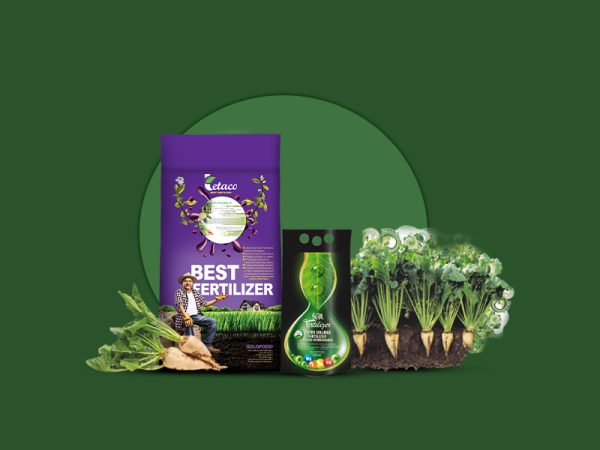 کود پیشنهادی چغندر قند