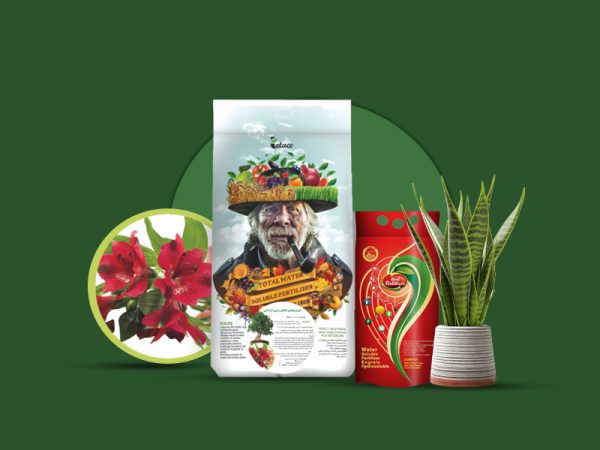 کود پیشنهادی گیاهان زینتی و آپارتمانی