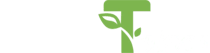 هلدینگ تتاکو